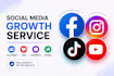 do facebook page promotion following fast organically