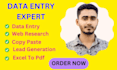 do data entry web research copy paste and lead generation