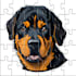 create cool stickers, puzzles, emoticons, pictures