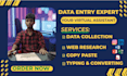 data entry, exce data, copy paste, web research