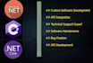 develope custom software, API integration and technical support
