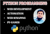 do python programming python project python assignment python web scrapping