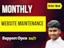 professional wordpress website monthly maintenance