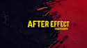 professional animate logo and visual elements for you