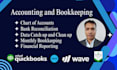 do accounting and bookkeeping clean up set up using qbo xero and wave
