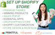 set up shopify store
