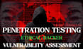 penetration testing ,vulnerability assessment, website security