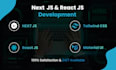be next js developer