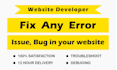 fix hacked wordpress website or any issues, errors