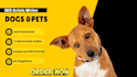 write engaging pets and dogs articles and blog  content