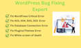 professionally fix critical wordpress errors
