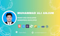 create a professional wordpress website with custom design