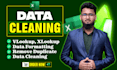 fix any excel formula and excel data cleaning