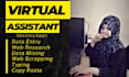 do urgent and actual data entry web research in low price