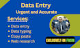 do urgent data entry, urgent data typing and copy paste