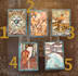 give you 50 percent off my tarot reading