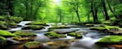 create restful relaxing rain video
