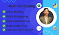 do web scraping, data scraping and mining using selenium and automation services