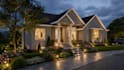 design garden, backyard, patio, pool and landscape renders