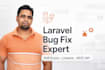 fix laravel bugs, PHP errors, and build custom laravel livewire apps