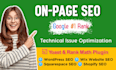 do best on page SEO optimization for website ranking with technical error