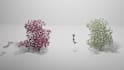 do steered molecular dynamics simulations