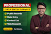 be expert data entry specialist, do web research, data collection and copy paste