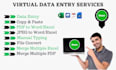 do data entry online ,offline, PDF to word, typing, excel