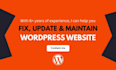 fix wordpress website errors and optimize speed