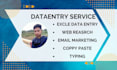 do absolute data entry and virtual assistant data entry for your web entry