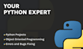 your python problem solver expert coding services