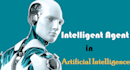 build a custom ai agent to automate your business workflows