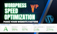 do wordpress speed optimization for google page speed