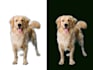 do image background removing