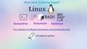 create customized shell bash scripts to automate tasks and enhance efficiency
