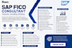 be your sap s4hana and ecc fico consultant