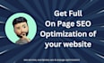 do onpage optimization, audit, schema markup of your website