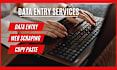 do any type of data entry, web scraping, data mining and web research