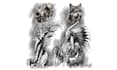 create custom hand drawn illustrations and detailed artwork