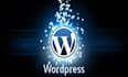 do wordpress website development and website design
