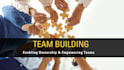 provide team building training