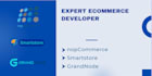 create ecommerce website using nopcommerce, smartstore and grandnode