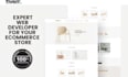 design, redesign and setup your ecwid store