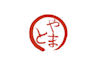 create handwritten japanese logo with brush