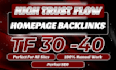 boost your website ranking with high trust flow backlinks
