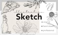create sketch illustration fully hand drawn