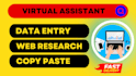 do data entry in low price