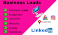 scrap business email, telephone and lead generation google maps