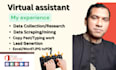 accurate data entry, lead generation and file conversion
