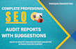 do complete SEO web audit